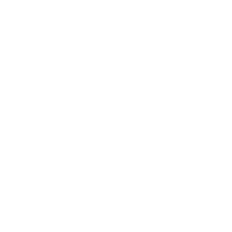 Soul of Argus pixel logo